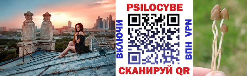 дарнет шоп  Мосальск  Псилоцибиновые грибы GOLDEN TEACHER 